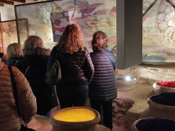 IMG_20221122_165818